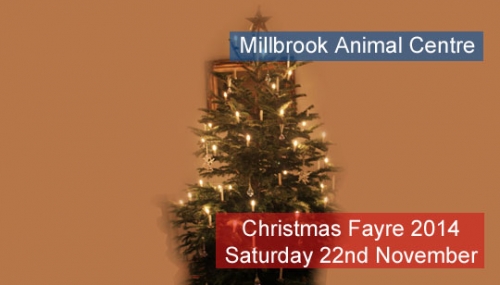 Millbrook RSPCA Christmas Fayre 2014
