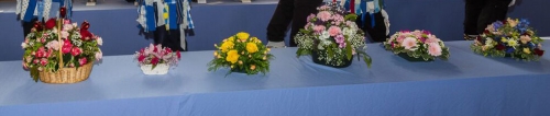 Woking and Sam Beare Hospices Flower Festival - May 2018